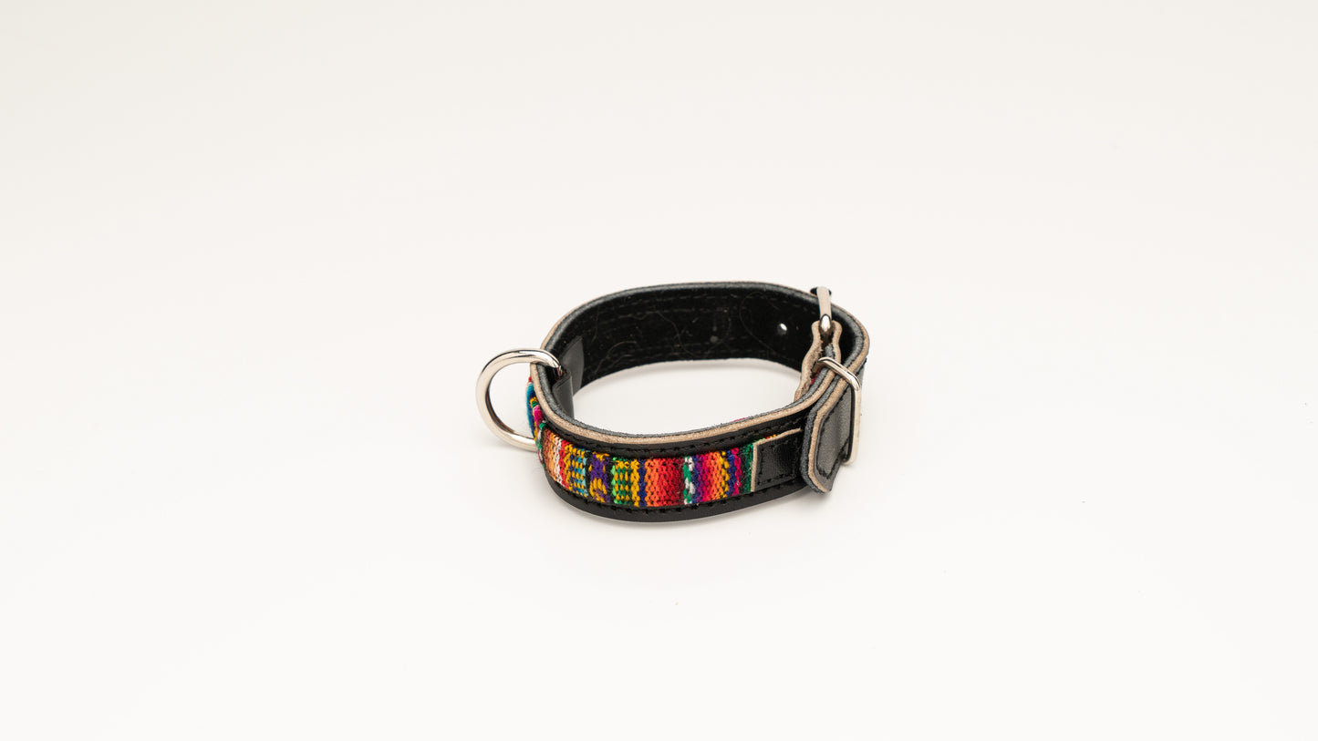 The Andino Collar